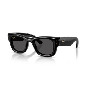 SOLAR RAYBAN 4940 601/87